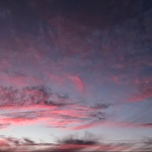 Meet your Posher, Cate